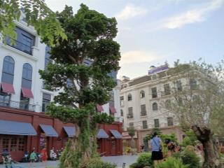 Ngộp bank cần bán căn sơn đồng center, hoài đức  hướng đông nam