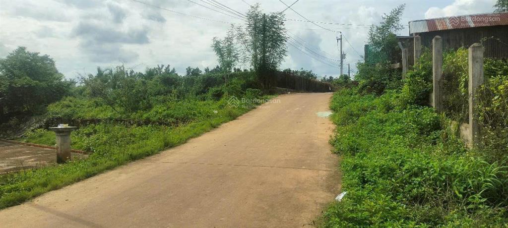 Đất vườn diện tích 1000m2 giá 650 triệu bàu trâm, long khánh