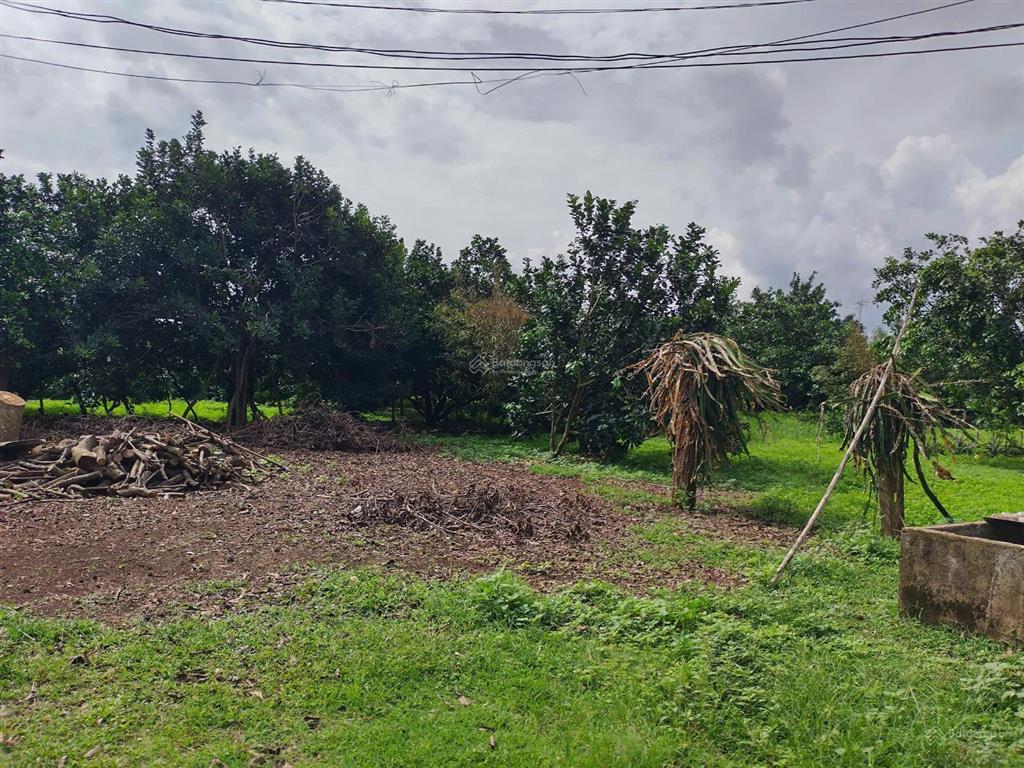Đất vườn diện tích 1000m2 giá 650 triệu bàu trâm, long khánh