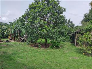 Đất vườn diện tích 1000m2 giá 650 triệu bàu trâm, long khánh