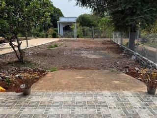 Đất vườn 300m2 thổ cư ngang 30m có giá 980 triệu có nhà cấp 4 bình lộc long khánh đồng nai