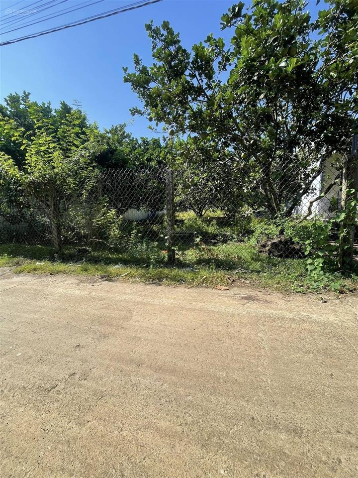 Đất vườn 2000m2 thổ cư 200m2 ngang 30m giá 1 tỷ 200tr bình lộc long khánh đồng nai