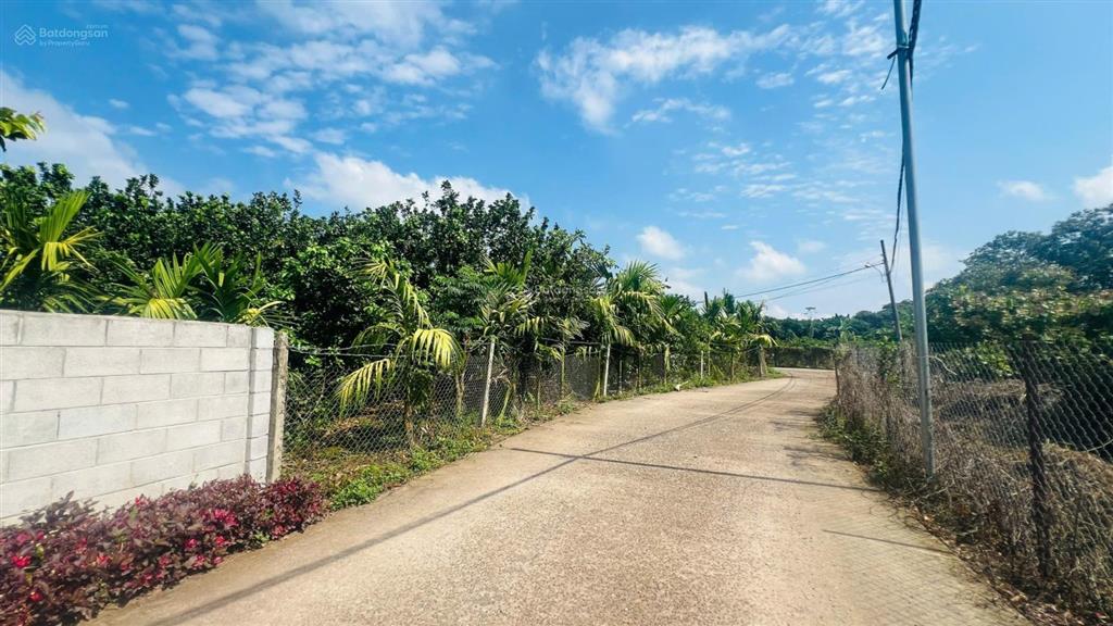 Đất vườn thổ cư 200m2, ngang 20x50m, giá 980 triệu bình lộc long khánh đồng nai