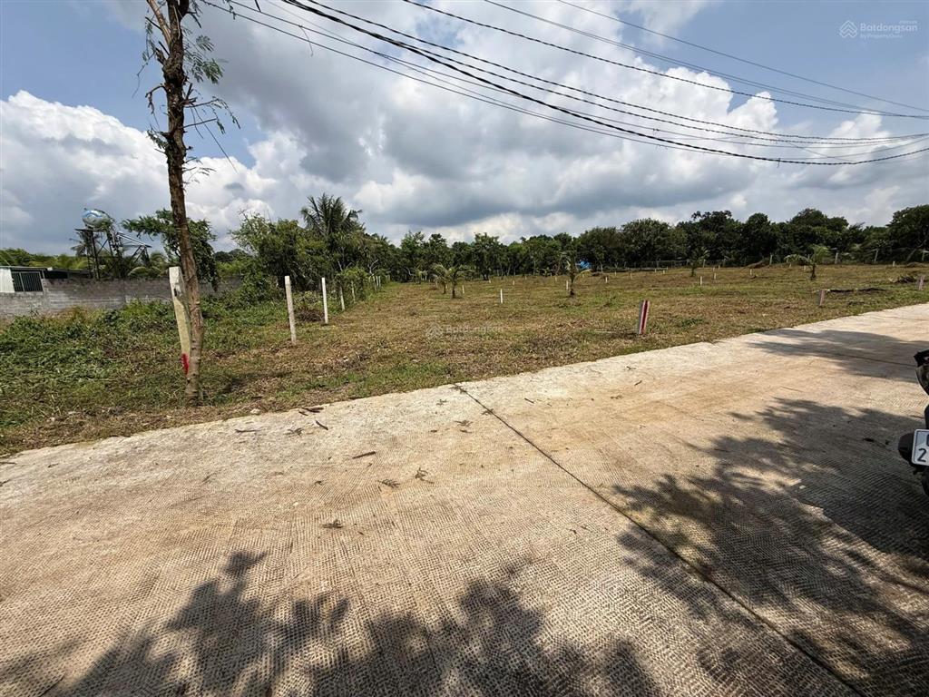 Đất nền thổ cư sổ riêng 5x24 giá 950 triệu bảo vinh long khánh đồng nai