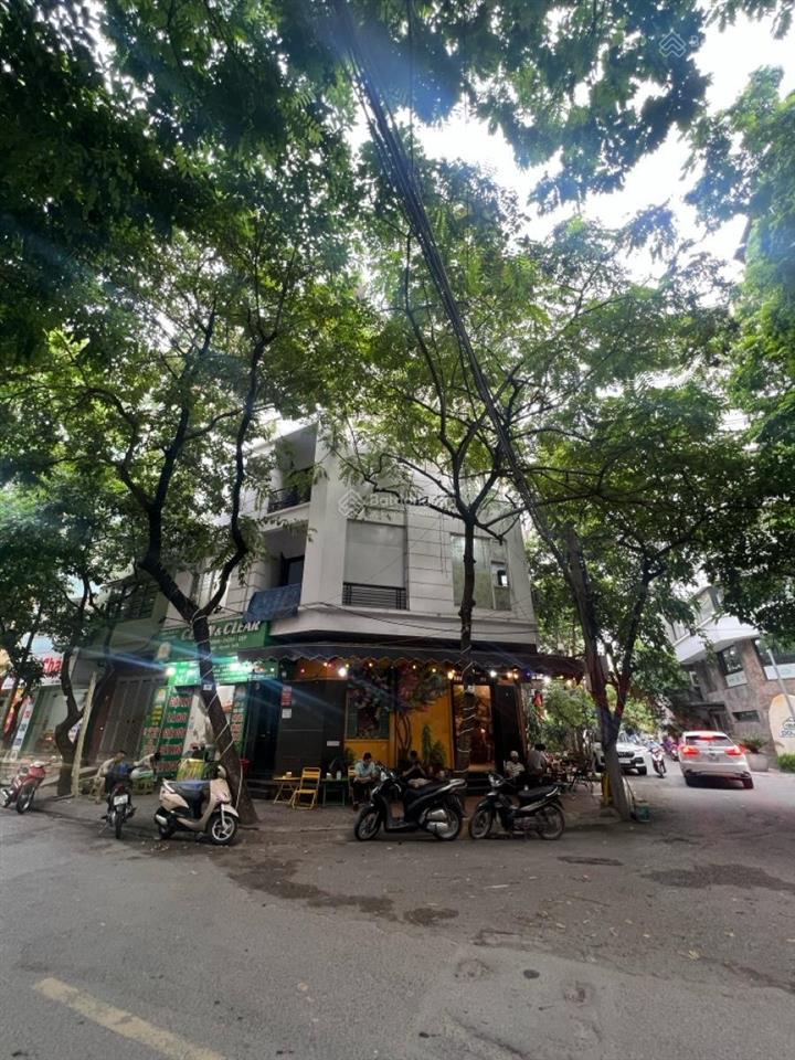 Siêu phẩm mặt phố lô góc ô tô tránh vỉa hè rộng miên man  kinh doanh cực đỉnh