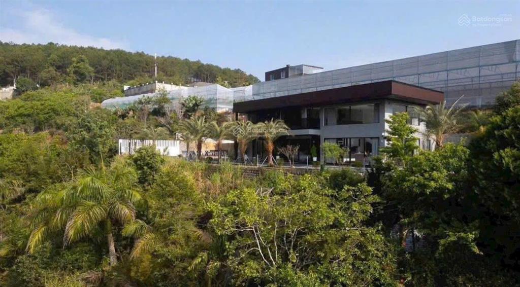 Bán villa đà lạt view rừng thông vĩnh viễn gần chợ kinh doanh du lịch 13,5 tỷ