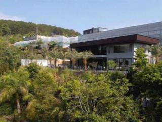 Bán villa đà lạt view rừng thông vĩnh viễn gần chợ kinh doanh du lịch 13,5 tỷ