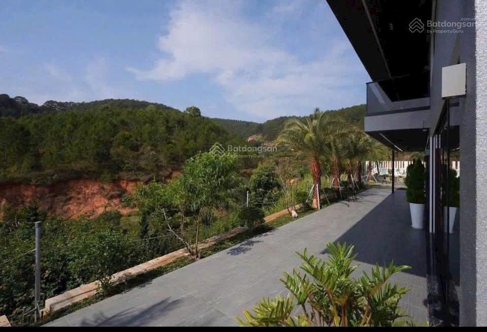 Bán villa đà lạt view rừng thông vĩnh viễn gần chợ kinh doanh du lịch 13,5 tỷ