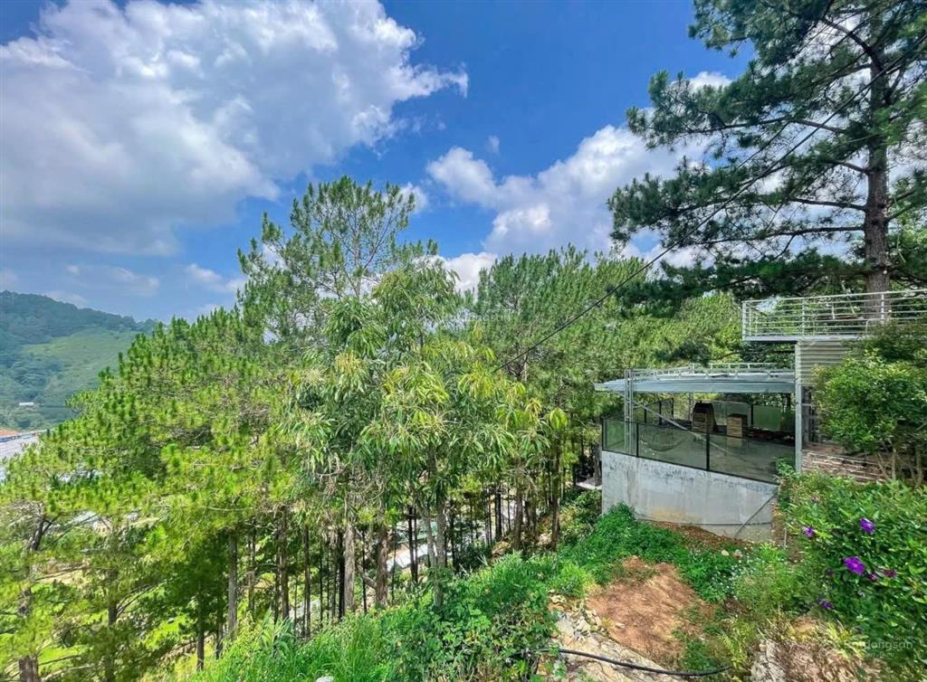 Bán biệt phủ đỉnh đồi view rừng thông điệp trùng đà lạt 20.000m² thực tế có sân golf, giá 40 tỷ