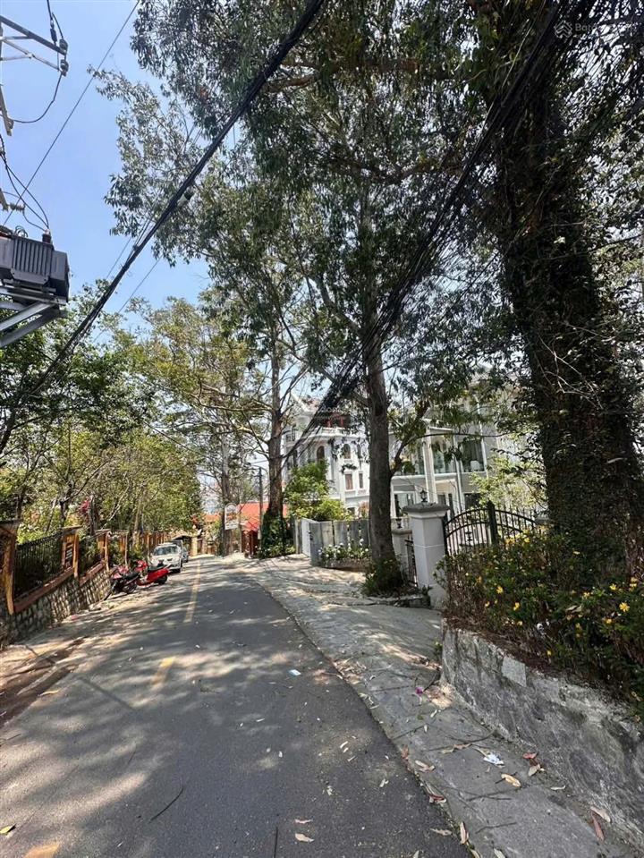Bán gấp biệt thự lâu đài bạch đàn trắng nguyễn trung trực, đà lạt giá chính chủ 25 tỷ