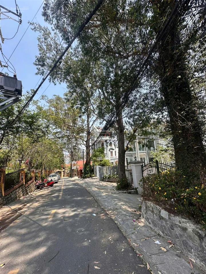 Bán gấp biệt thự lâu đài bạch đàn trắng nguyễn trung trực, đà lạt giá chính chủ 25 tỷ