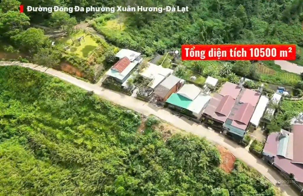 Bán đất đồi đường đống đa đà lạt 10.500m2 có 300m2 thổ cư view cáp treo, mặt tiền khủng