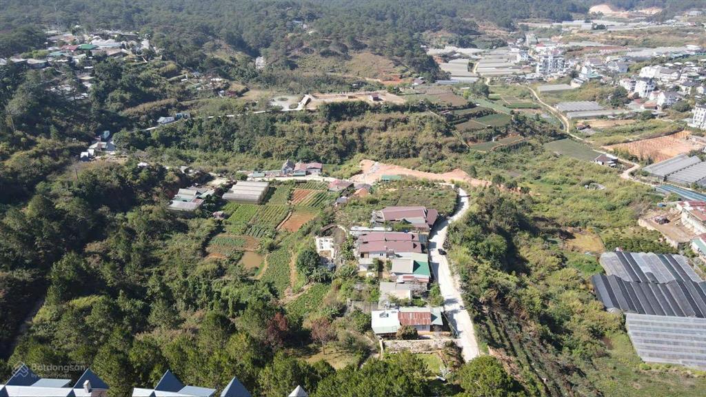 Bán đất đồi đường đống đa đà lạt 10.500m2 có 300m2 thổ cư view cáp treo, mặt tiền khủng