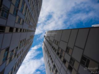 Cần bán gấp ch citi soho, q2, dt 59m2 (2pn  2wc), sổ hồng vĩnh viễn, giá tốt nhất thị trường