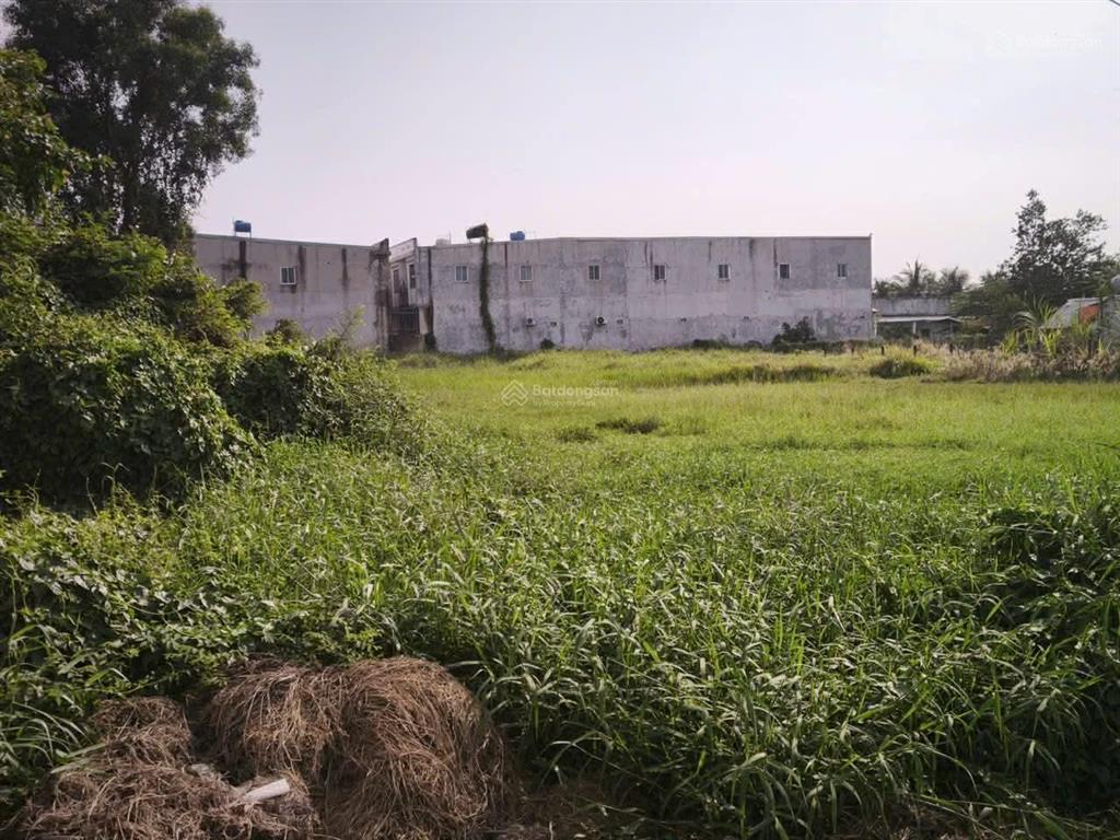 Sổ riêng  đất sạch  mua xây ngay  nhượng lại đất xây tổ ấm yên bình gần kcn trảng bàng an tịnh