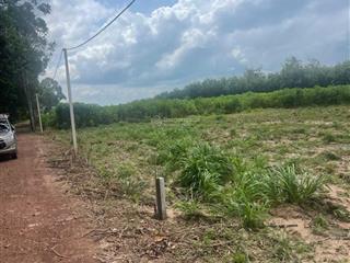 Bán đất giá siêu hời tại ấp xóm mới 2, 350 triệu, 150m2