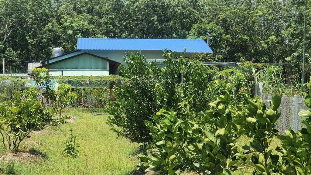 Bán gấp nhà vườn nghỉ dưỡng 2500m2