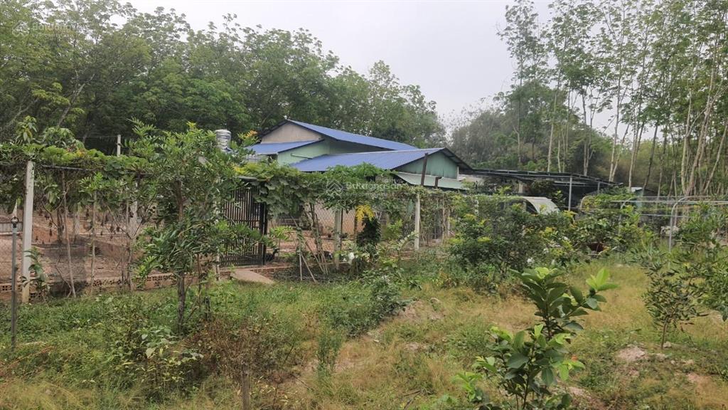 Bán gấp nhà vườn nghỉ dưỡng 2500m2