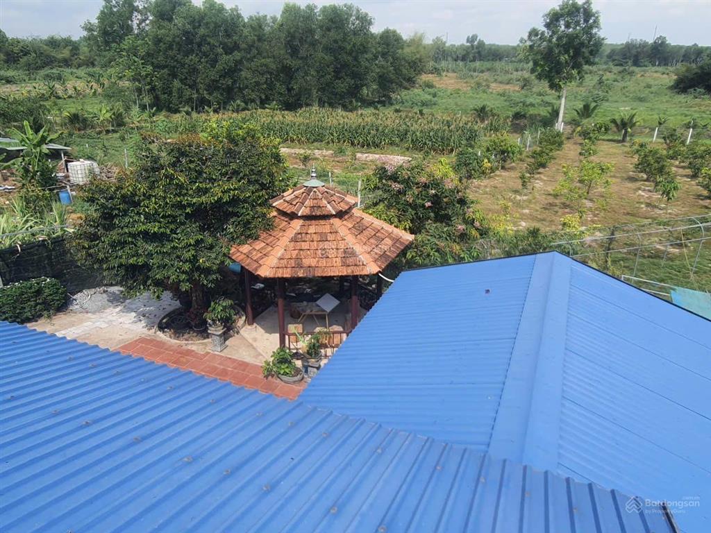 Bán gấp nhà vườn nghỉ dưỡng 2500m2