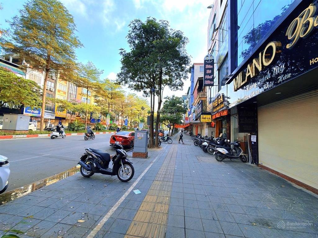 Bán nhà mặt phố vip trần thái tông hiếm nhà bán  vỉa hè 8m  kinh doanh đỉnh  tt cầu giấy