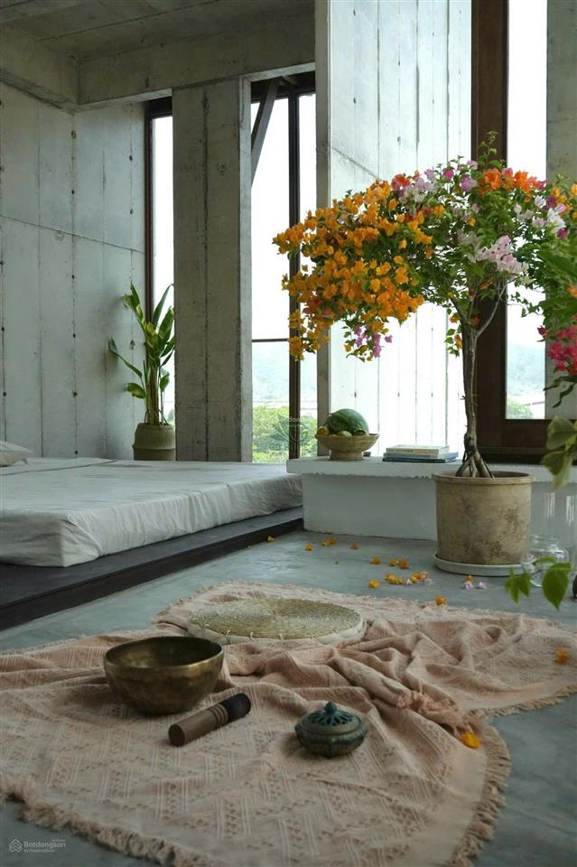 Cho thuê homestay 11 phòng kiến trúc siêu đẹp gần biển