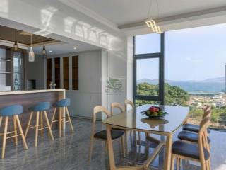 Villa view toàn cảnh vịnh nha trang siêu đẹp  có sân vườn  có thang máy