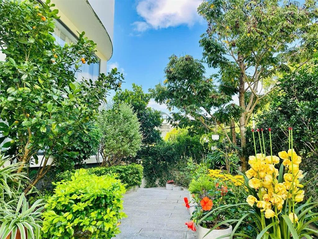 Villa view toàn cảnh vịnh nha trang siêu đẹp  có sân vườn  có thang máy