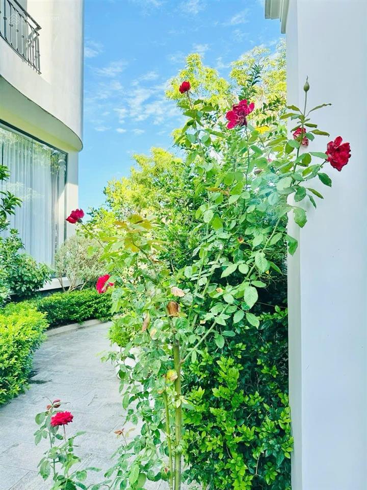 Villa view toàn cảnh vịnh nha trang siêu đẹp  có sân vườn  có thang máy
