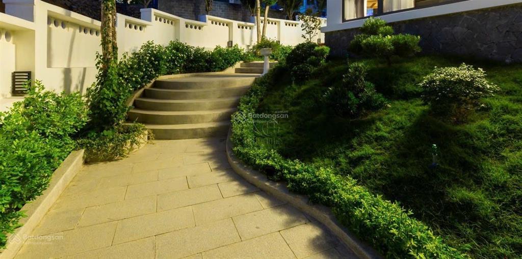 Villa view toàn cảnh vịnh nha trang siêu đẹp  có sân vườn  có thang máy