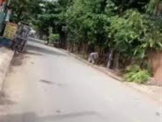 Bán kho xưởng đường võ thị thừa, an phú đông, quận 12