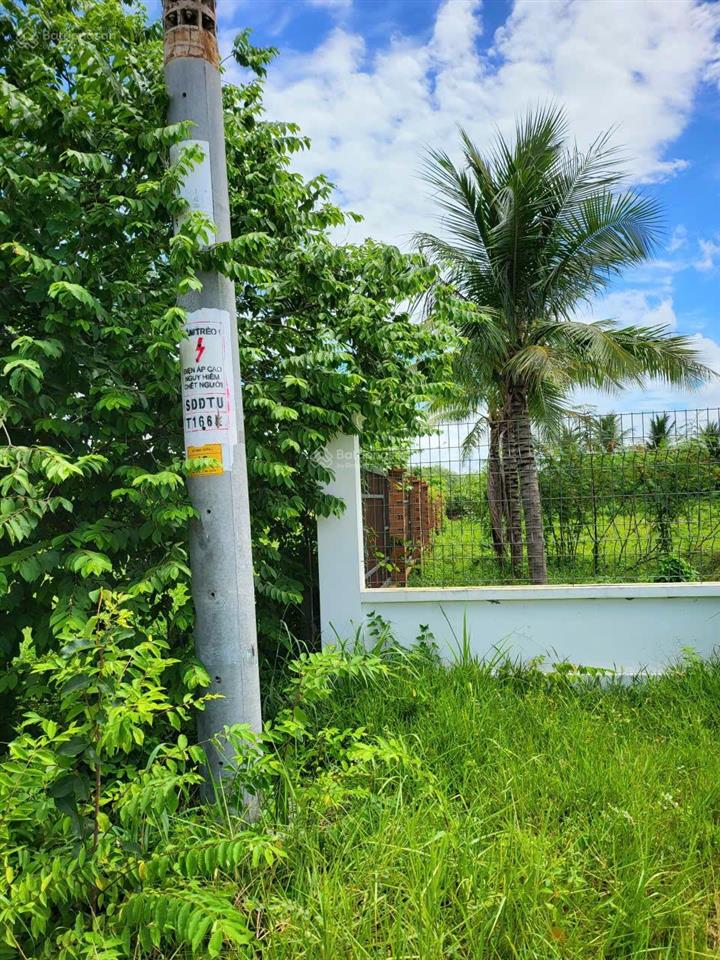 Bán đất chính chủ xã phú mỹ hưng (an nhơn tây cũ), tp. hồ chí minh
