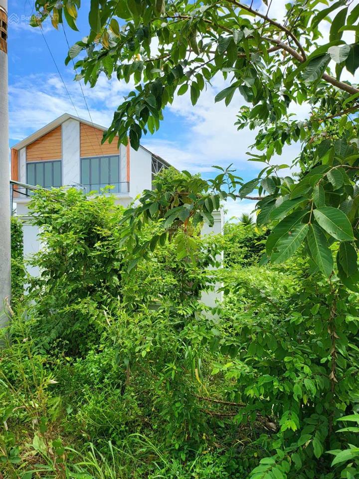 Bán đất chính chủ xã phú mỹ hưng (an nhơn tây cũ), tp. hồ chí minh