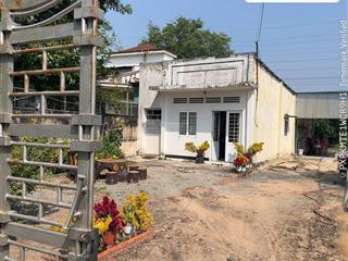 Đất đẹp nhà sẵn củ chi 512.2m² mt đường 11m giá chỉ 3.55 tỷ