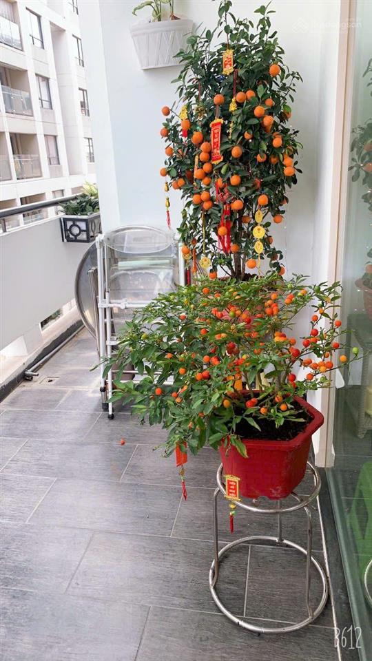 Chính chủ bán căn hộ vạn đô bến vân đồn, q4 | 85m² | 2pn 2wc | nội thất cao cấp | chỉ 6 tỷ