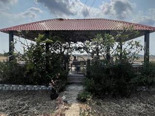 Bán đất đẹp mặt tiền đường số 1, xã tân trạch, cần đước sổ hồng riêng giá tốt