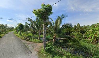 Bán đất đẹp mặt tiền đường số 1, xã tân trạch, cần đước sổ hồng riêng giá tốt
