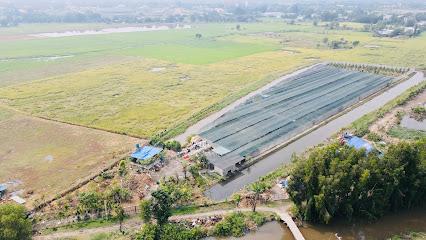 Bán đất lớn mặt tiền đường trải đá, xã tân thạnh đông, củ chi sẵn 300m thổ cư
