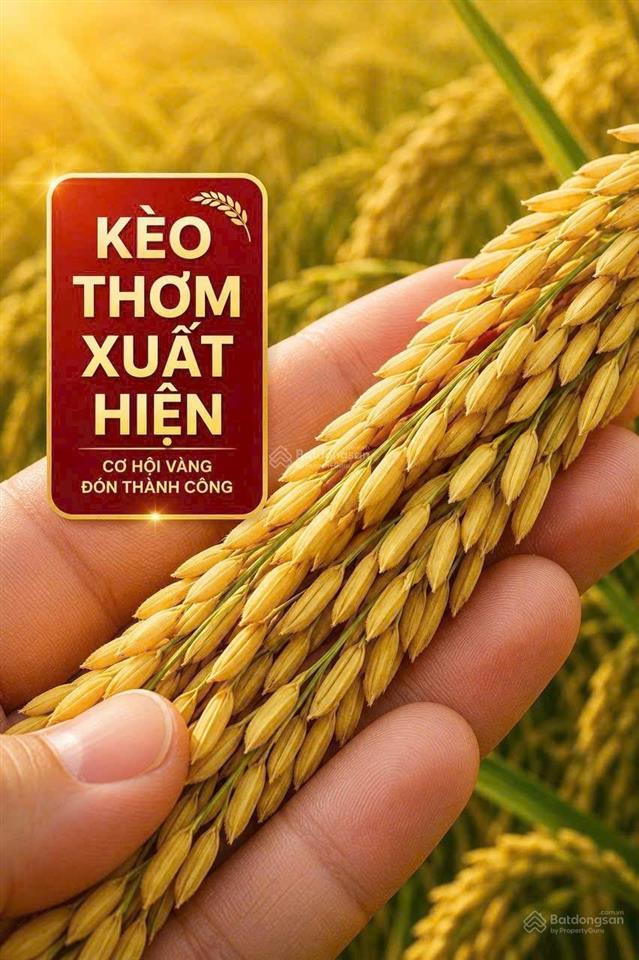 Bán lô đất vàng nguyễn trãi, quận 1  gần 700m đất ở đô thị