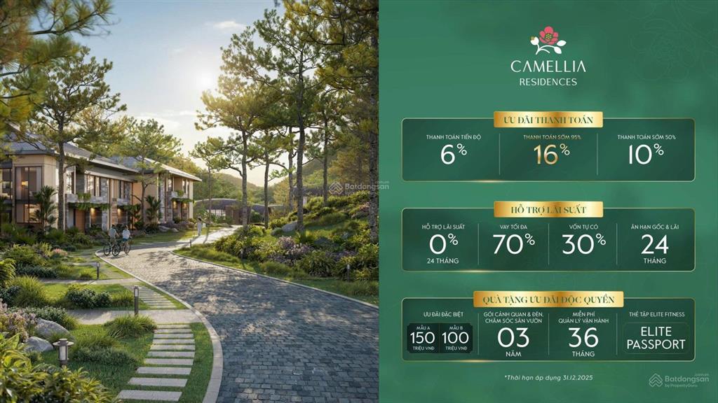 Suất ngoại giao ck 18%, biệt thự 252m2 nằm trên đồi view khách sạn intercon và rừng thông lung linh