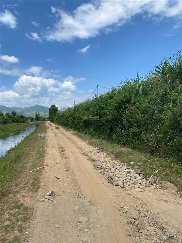 Đất mặt tiền quy hoạch 10m, chiều dài 100m mặt tiền đường. 11080m2