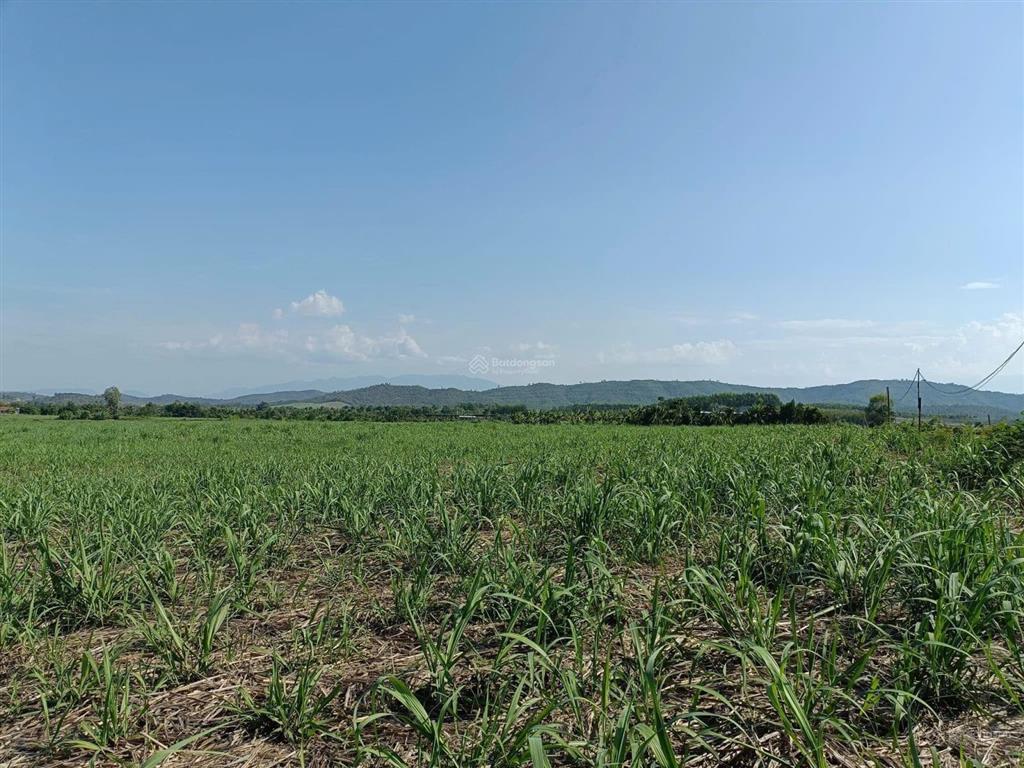 Đất mặt tiền quy hoạch 10m, chiều dài 100m mặt tiền đường. 11080m2