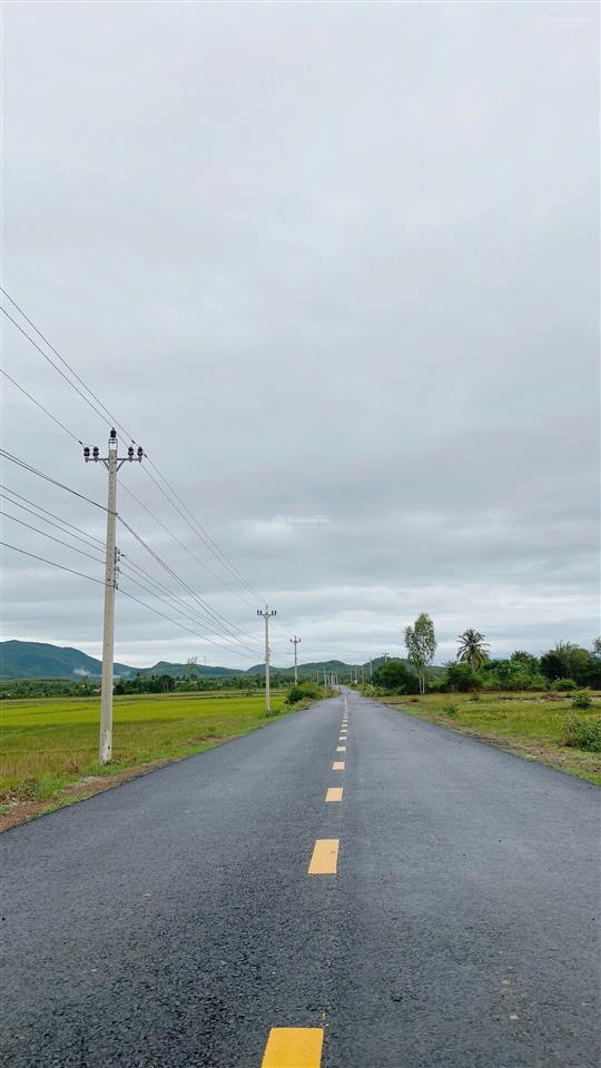 Đất mặt tiền quy hoạch 10m, chiều dài 100m mặt tiền đường. 11080m2