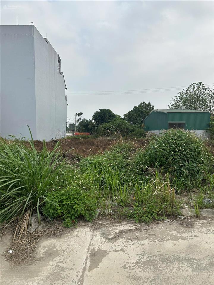 Đất chỉnh chủ tại trấn kim bài thanh oai 60m2  85m2, mặt tiền 5m, sẵn sổ, đường rộng ô tô