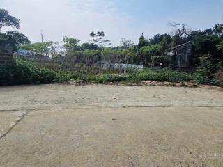 Chính chủ cần bán lô đất dt 272,7m2 tại phú cát, hà nội