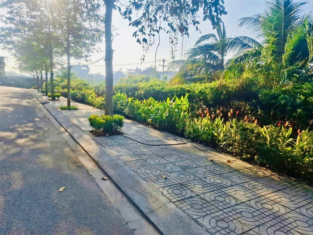 Nhà phố compound the meadow bình chánh  mua trực tiếp cđt gamuda land