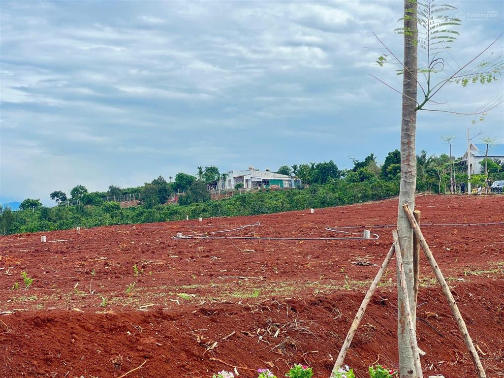 Đất nền view săn mây sổ hồng riêng sẵn thổ cư từ 580 triệu 300m² tân hà lâm hà lâm đồng