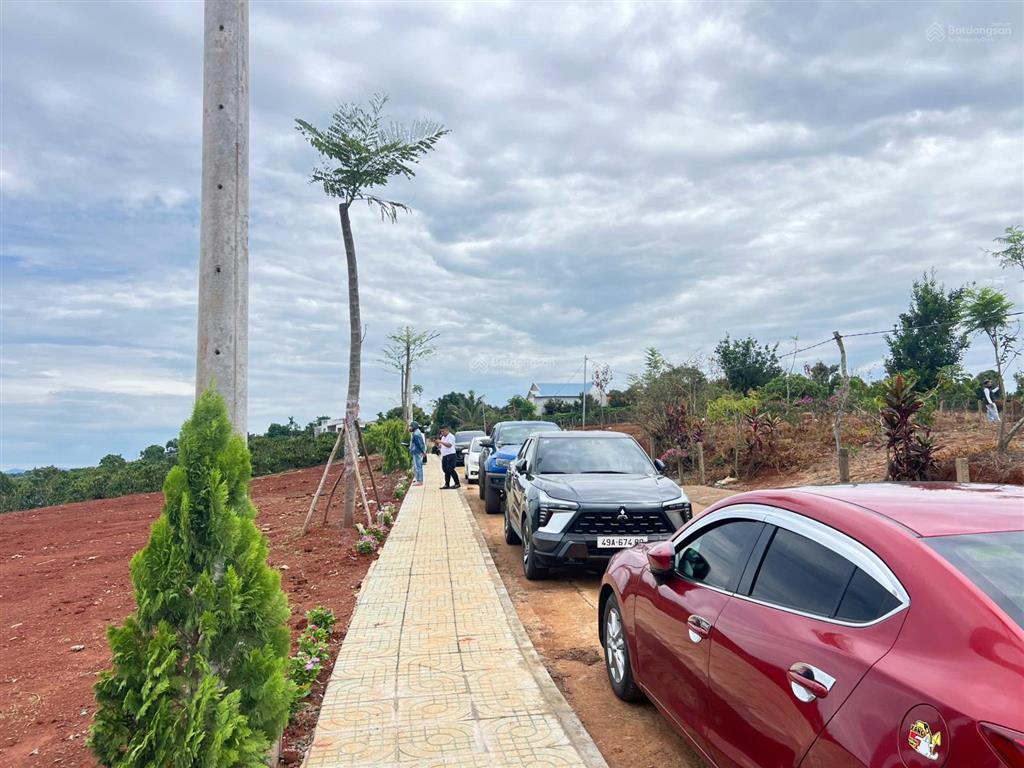 Đất nền view săn mây sổ hồng riêng sẵn thổ cư từ 580 triệu 300m² tân hà lâm hà lâm đồng