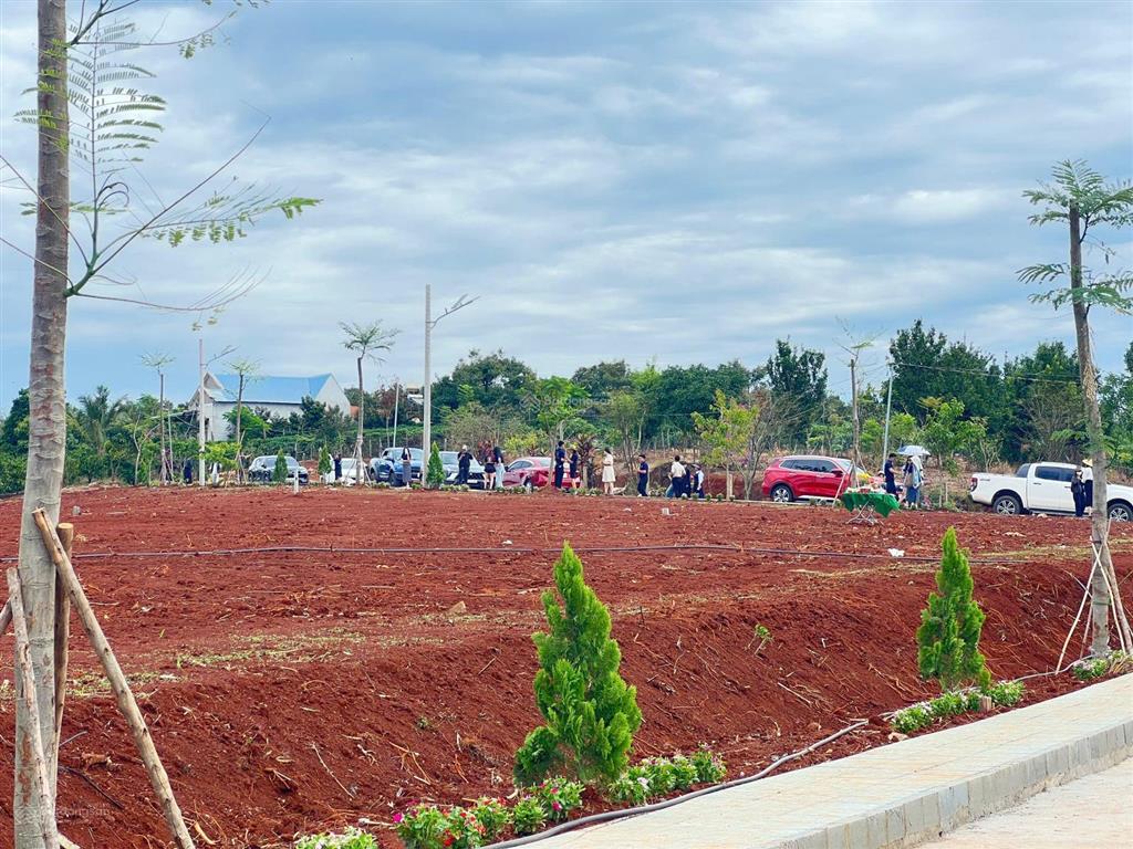 Đất nền view săn mây sổ hồng riêng sẵn thổ cư từ 580 triệu 300m² tân hà lâm hà lâm đồng