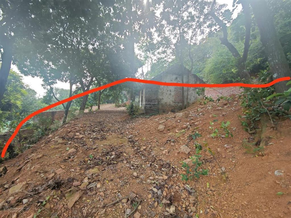 Chính chủ bán nhanh. bán đất tại xã tiên phương, 20 tỷ, 1367 m2, chính chủ