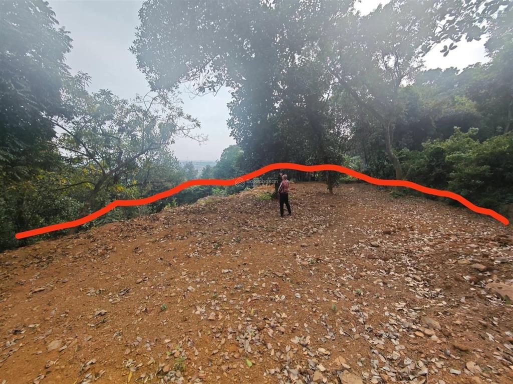 Chính chủ bán nhanh. bán đất tại xã tiên phương, 20 tỷ, 1367 m2, chính chủ